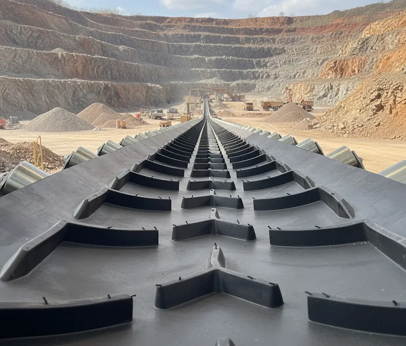 Poggi Spa conveyor belt